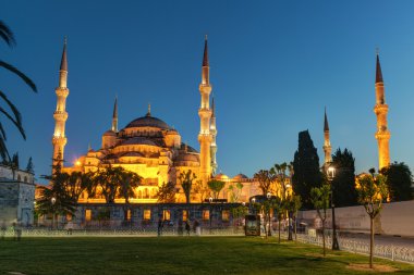 View of the Blue Mosque at night in Istanbul, Turkey clipart