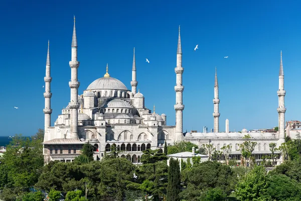 Вид на Блакитну мечеть (Султанахмет camii) в Стамбул, Туреччина Стокове Зображення