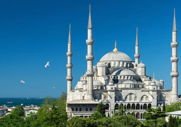 İstanbul 'daki mavi cami manzarası, hindi — Stok fotoğraf