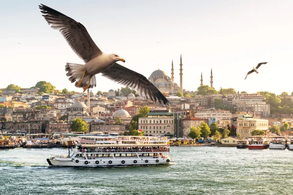 Gaivotas voando no Chifre de Ouro em Istambul — Fotografia de Stock