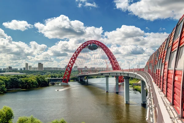 Moderna kabel-blivet överbrygga i Moskva — Stockfoto