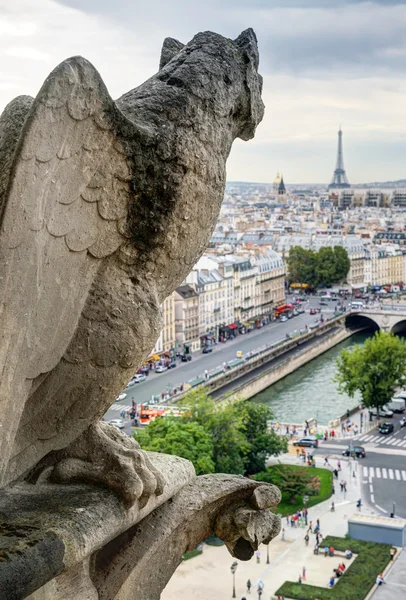 Quimera de la Catedral de Notre Dame de Paris con vistas a la — Foto de Stock