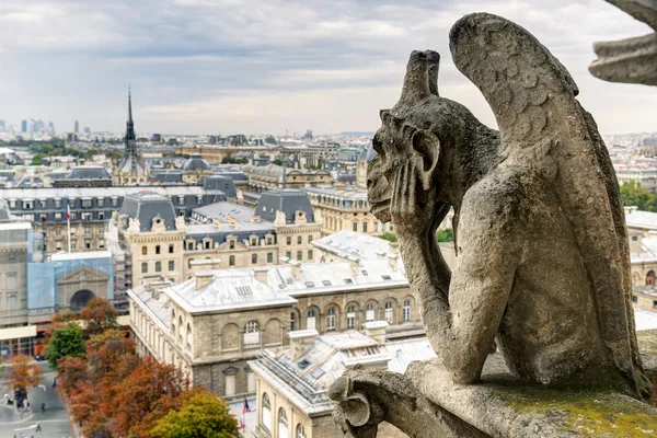 Quimera de la Catedral de Notre Dame de Paris con vistas a Pari — Foto de Stock