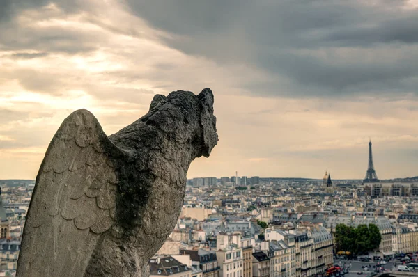 Chimera della Cattedrale di Notre Dame de Paris con vista sul — Foto Stock