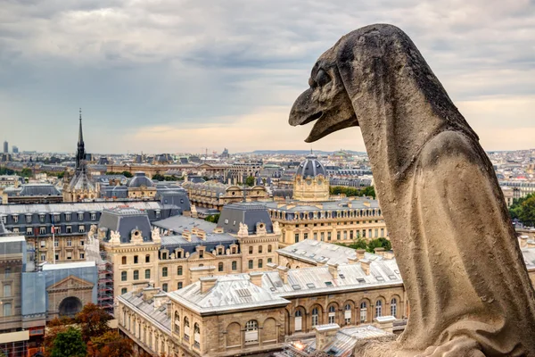 Quimera de la Catedral de Notre Dame de Paris con vistas a Pari — Foto de Stock