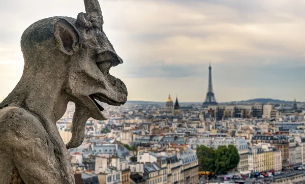 Chiméra katedrály notre Dame de paris, s výhledem — Stock fotografie