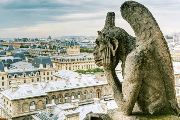 Chiméra katedrály notre Dame de paris, s výhledem na pari — Stock fotografie