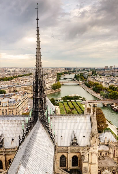 Pohled na Paříž z katedrály notre dame — Stock fotografie