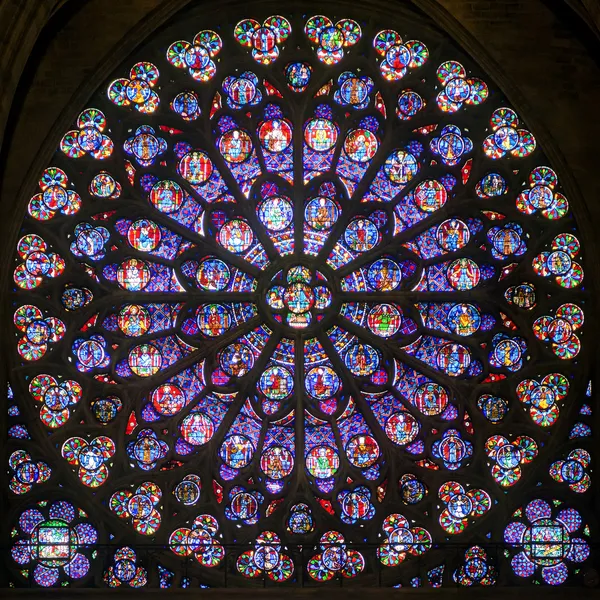 Janela de vidro manchada de rosa na catedral de Notre Dame de Pari — Fotografia de Stock