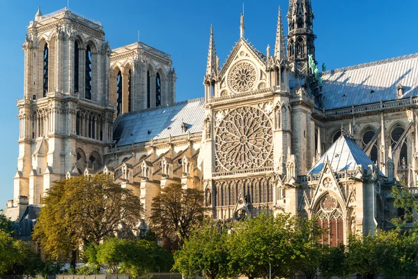 La catedral de notre dame de paris — Foto de Stock
