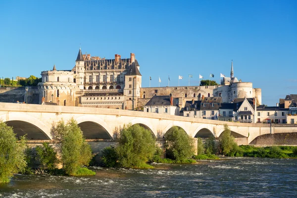 Chateau d'Amboise sul fiume Loira, Francia — Foto Stock