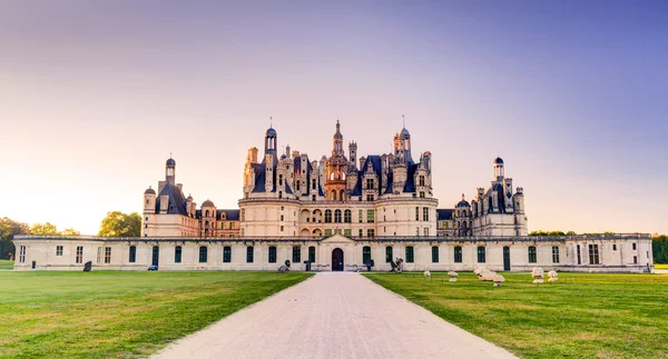 Het Koninklijke kasteel van chambord in de avond, Frankrijk — Stockfoto