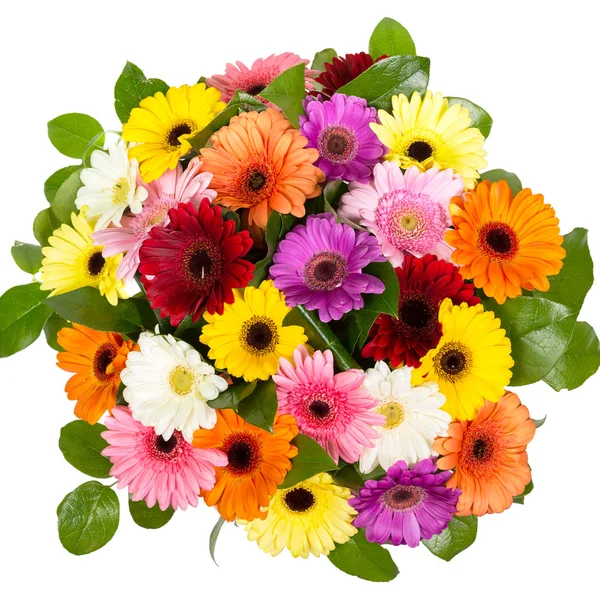 Bouquet of gerberas — Stock Photo, Image