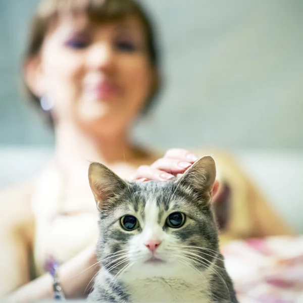 Vacker leende flicka och katt — Stockfoto