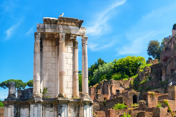 El Templo de Vesta en el Foro Romano, Roma , —  Fotos de Stock