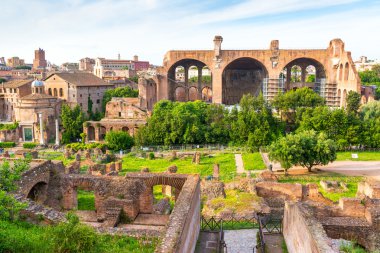 Roma forumu Roma 'da