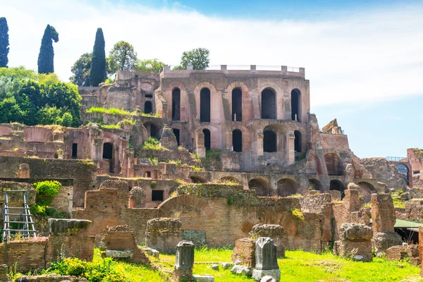 Forum romano a roma — Foto Stock