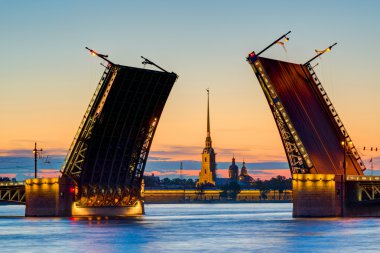 kartpostal görünümü palace Bridge St Petersburg, Rusya Federasyonu