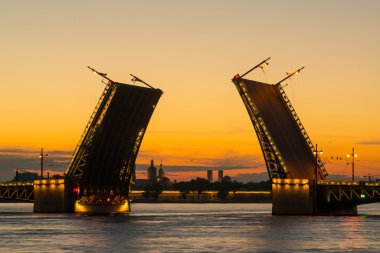 Palace bridge St Petersburg, Rusya Federasyonu