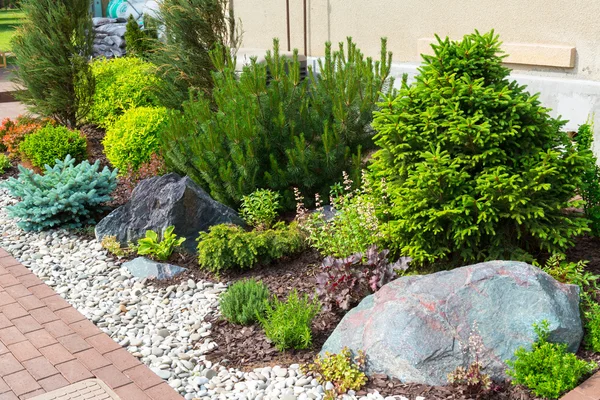 Aménagement paysager naturel dans le jardin domestique — Photo