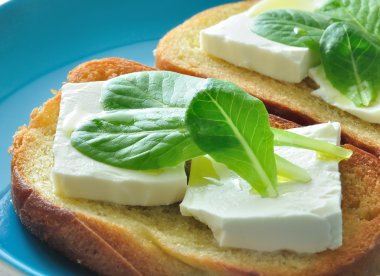 ekmek ve peynir otlar ve zeytinyağı
