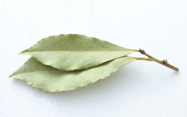 aromatik defne yaprağı