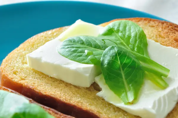 Bröd och ost örter och olivolja — Stockfoto