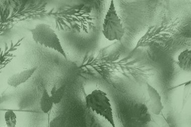 Doğal Soyut Yeşil Orman Arkaplanı Sprey Boyalı Yapraklarla