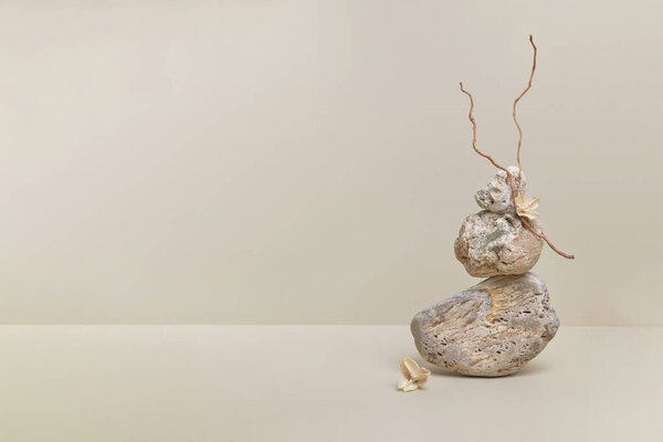 nature scene with composition of stones and dry branches