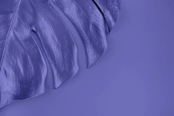 Крупный план металлического пальмового листа монстра на фиолетовом фоне — стоковое фото
