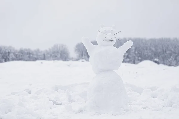 Karlı tarladaki komik kardan adam figürü. — Stok fotoğraf