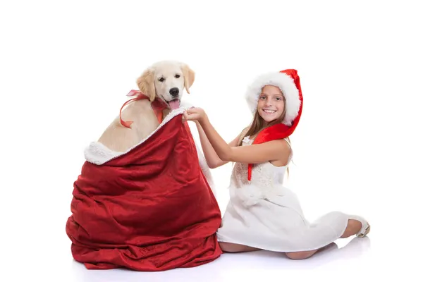 Semester sällskapsdjur hund julklapp — Stockfoto