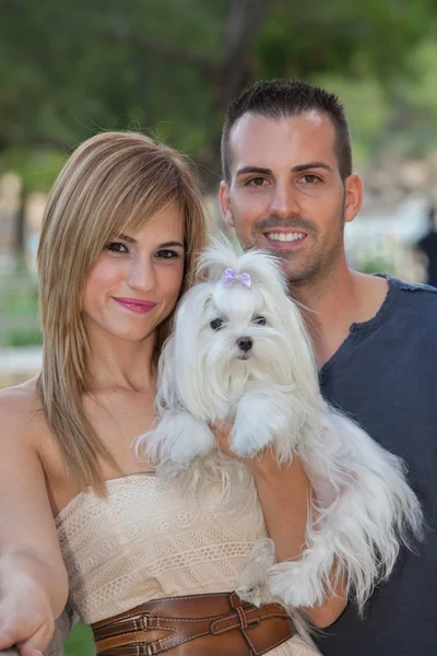 Jovem casal com animal de estimação cão maltês — Fotografia de Stock