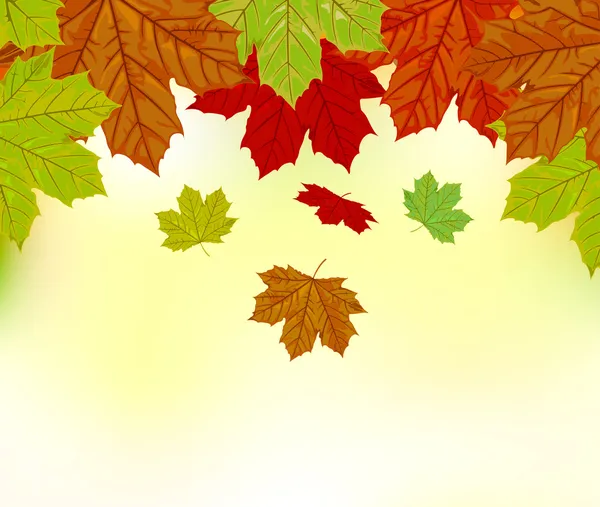 Falling autumn leaves vector background — Stock Vector