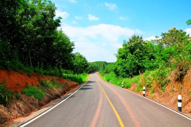 Köy içinde yol ile peyzaj