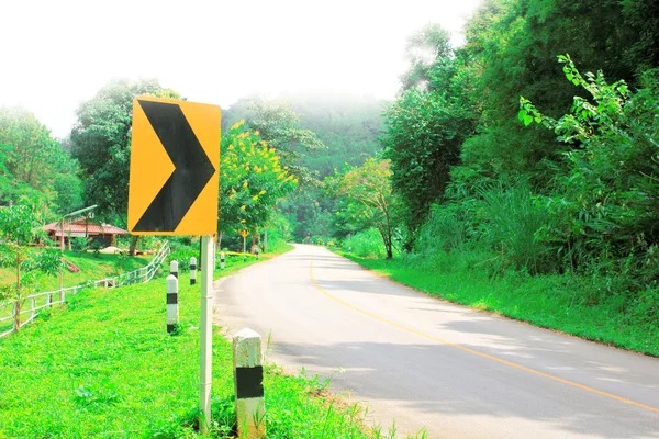 Estrada na floresta — Fotografia de Stock