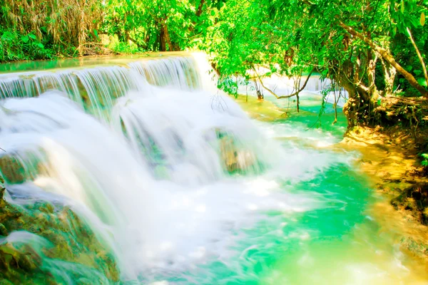 Beautiful waterfall in the forest park — Stock Photo, Image