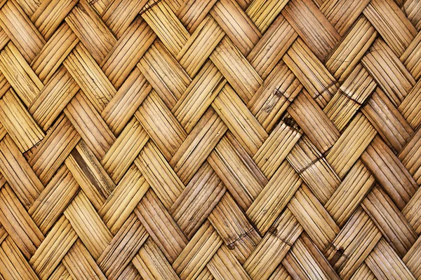 Bamboe bladen — Stockfoto