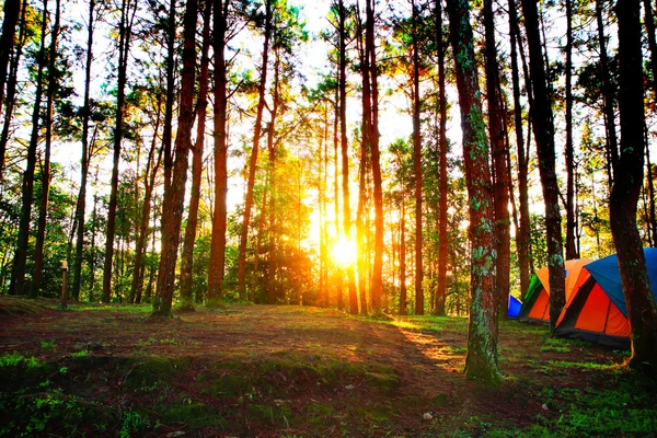 Amanecer por la mañana — Foto de Stock