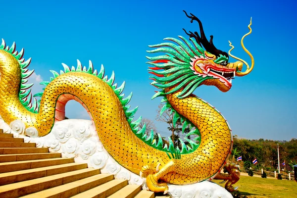 Beautiful golden dragon in front of the temple — Stock Photo, Image