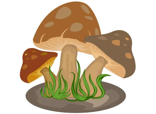 Cogumelos desenhos animados — Vetor de Stock