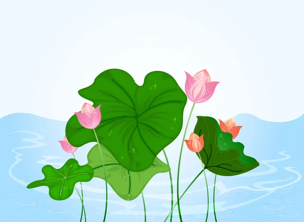 Water lily — Stock Vector