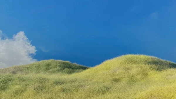 Tepe Yeşil Çimenler Mavi Gökyüzü Sahnesinde Manzara Duvar Kâğıdı Arkaplanı — Stok fotoğraf