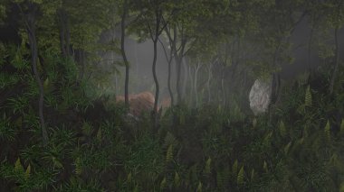 Bulut Ormanı Doğa Sahnesi 3 boyutlu duvar kâğıdı arkaplanı