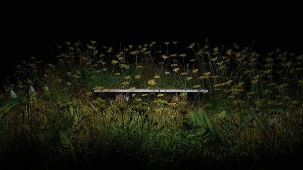 Render Bloemen Bloei Nacht Scène Plant Natuur Behang Achtergronden — Stockfoto