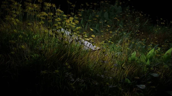 Καθιστούν Γρασίδι Και Λουλούδια Ανθίζουν Νύχτα Σκηνή Φύση Τοπίο Ταπετσαρία — Φωτογραφία Αρχείου