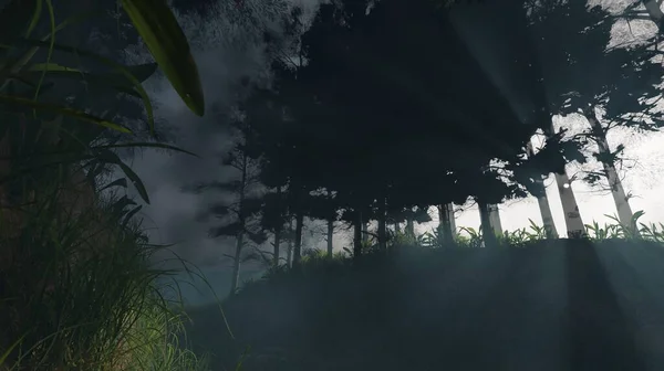 Καθιστούν Πεύκα Δάσος Και Πρωί Ομίχλη Τοπίο Φως Του Ήλιου — Φωτογραφία Αρχείου