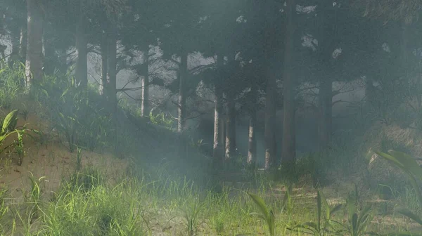 3 boyutlu sis çam ağaçlarında orman manzarası duvar kâğıdı arka planda