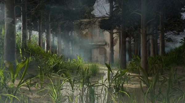 Çam ağaçlarında terk edilmiş eski bir ev. Orman manzarası. Duvar kağıtları.