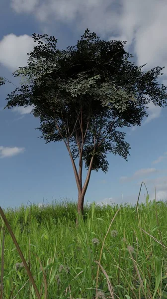 Render Ağaç Yeşil Çimen Mavi Gökyüzüne Karşı Manzara Duvar Kağıdı — Stok fotoğraf